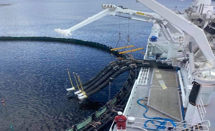 How Pipe Floats Improve Stability and Efficiency in Floating Pipeline Systems How Pipe Floats Improve Stability and Efficiency in Floating Pipeline Systems